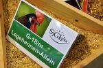 Sigl Legehennen Allein